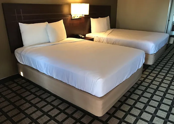 Motel Travelers - Phoenix